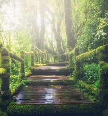 Green Finance